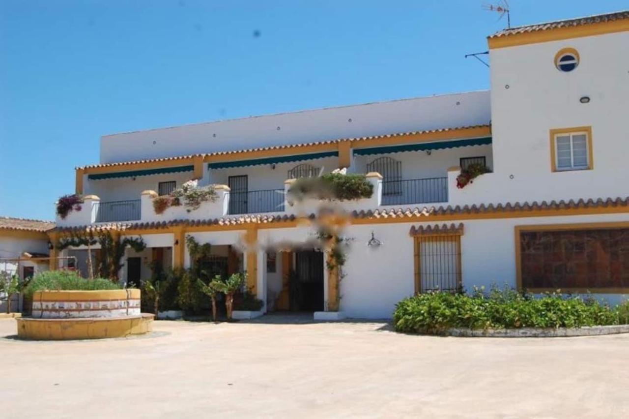 Apartamento La Tacita - Jazmín *